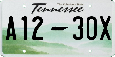 TN license plate A1230X