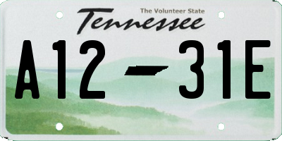 TN license plate A1231E