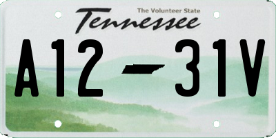 TN license plate A1231V