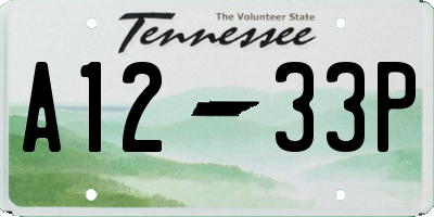 TN license plate A1233P
