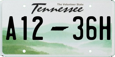 TN license plate A1236H