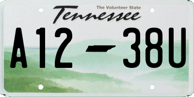 TN license plate A1238U