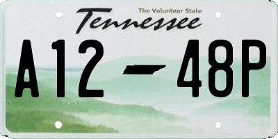 TN license plate A1248P