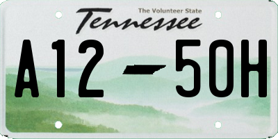 TN license plate A1250H
