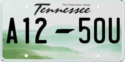 TN license plate A1250U