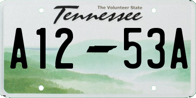 TN license plate A1253A