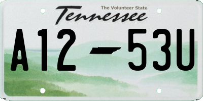 TN license plate A1253U