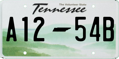 TN license plate A1254B