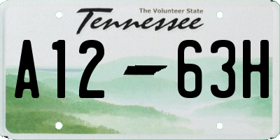 TN license plate A1263H