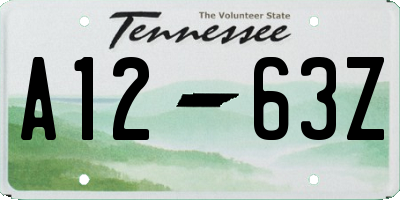 TN license plate A1263Z