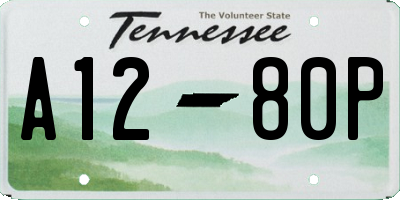 TN license plate A1280P