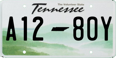 TN license plate A1280Y