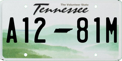 TN license plate A1281M