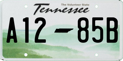 TN license plate A1285B
