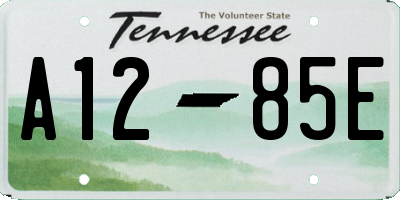TN license plate A1285E
