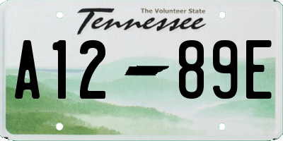 TN license plate A1289E