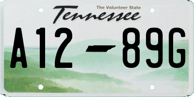 TN license plate A1289G