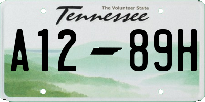 TN license plate A1289H