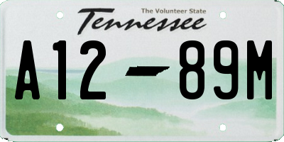 TN license plate A1289M