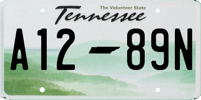TN license plate A1289N