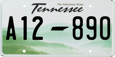 TN license plate A1289O