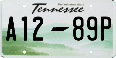 TN license plate A1289P