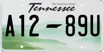 TN license plate A1289U