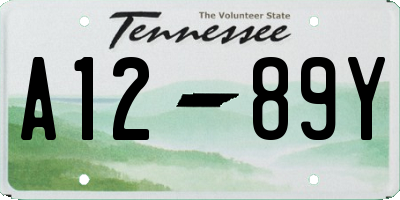 TN license plate A1289Y