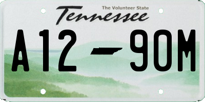 TN license plate A1290M
