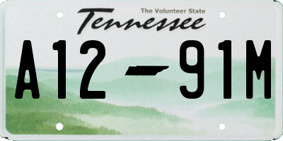 TN license plate A1291M