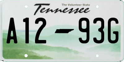 TN license plate A1293G