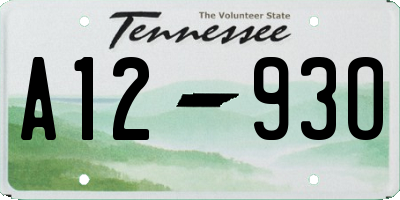 TN license plate A1293O