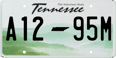 TN license plate A1295M