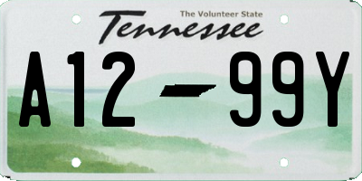 TN license plate A1299Y
