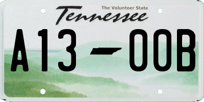 TN license plate A1300B