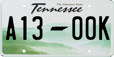 TN license plate A1300K