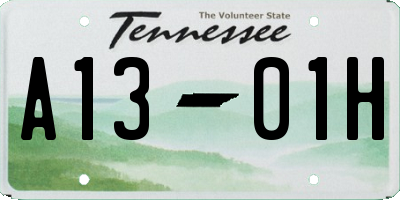 TN license plate A1301H