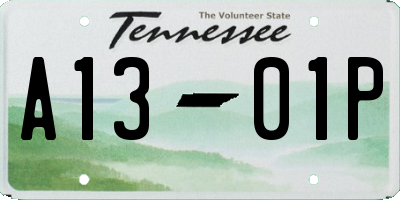 TN license plate A1301P