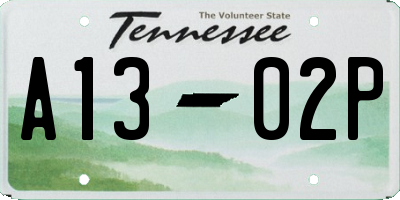 TN license plate A1302P