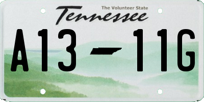 TN license plate A1311G