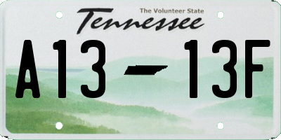 TN license plate A1313F