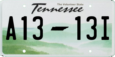 TN license plate A1313I