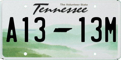TN license plate A1313M