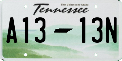 TN license plate A1313N