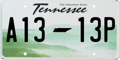 TN license plate A1313P