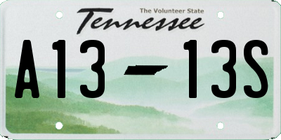 TN license plate A1313S