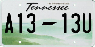 TN license plate A1313U