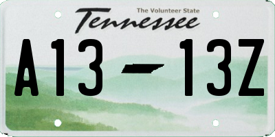 TN license plate A1313Z