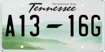 TN license plate A1316G