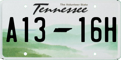 TN license plate A1316H